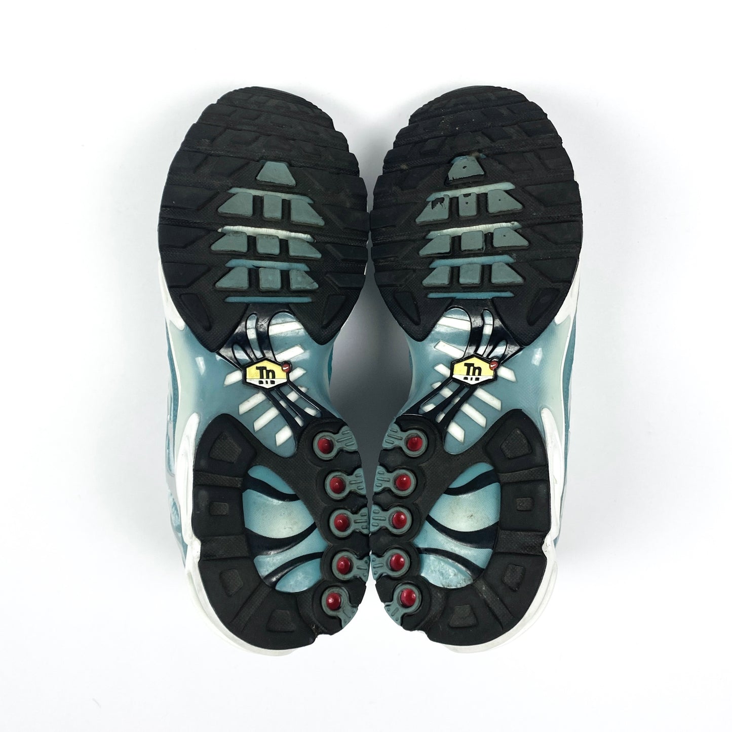 NIKE Air Max Plus Tn "Palm Tree"