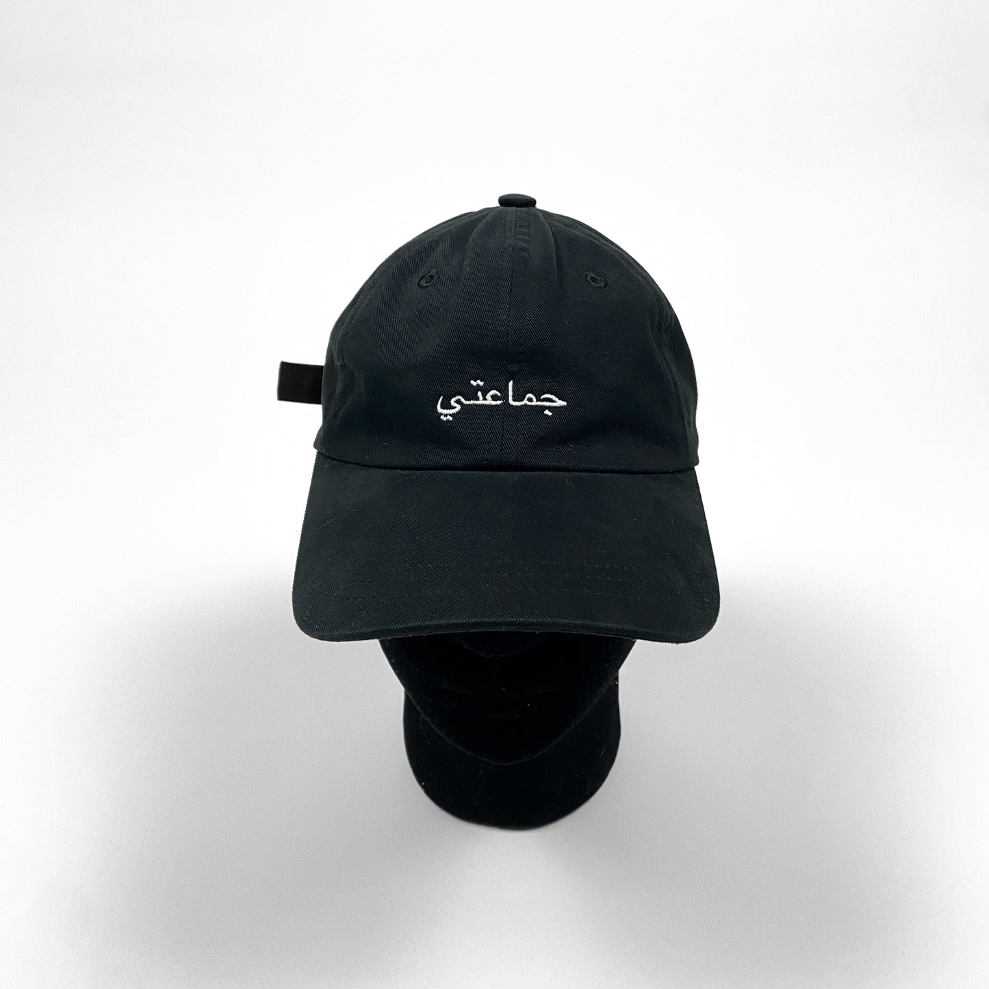 LIVE FROM EARTH Logo Kappe