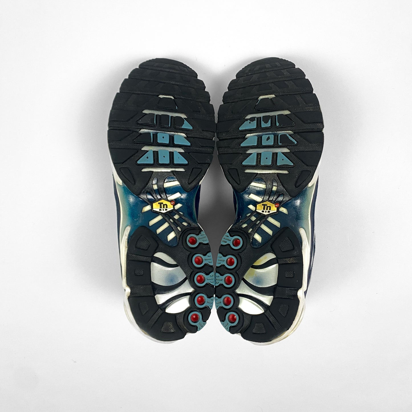 NIKE Air Max Plus Tn "Palm Tree"