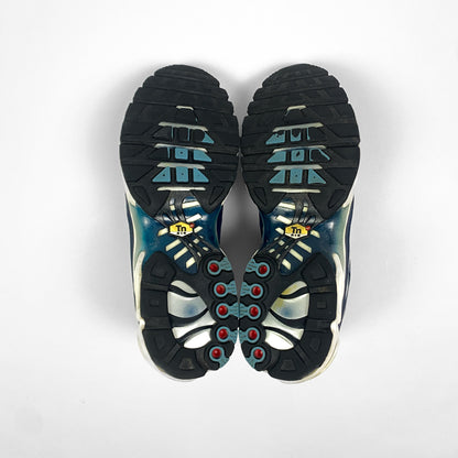 NIKE Air Max Plus Tn "Palm Tree"