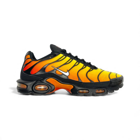Nike Air Max Plus Tn 'Tiger' [2018]