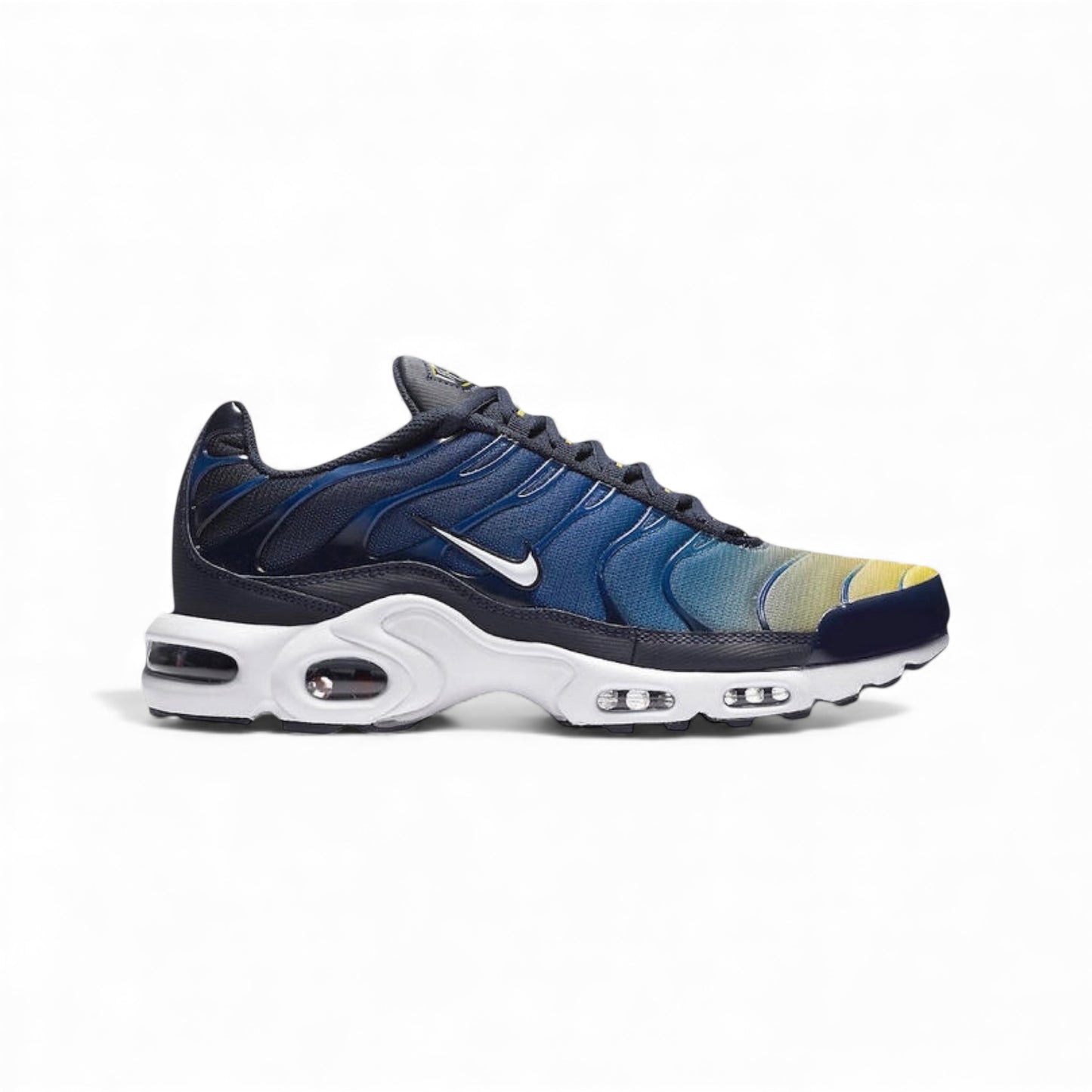NIKE Air Max Plus Tn Gradient