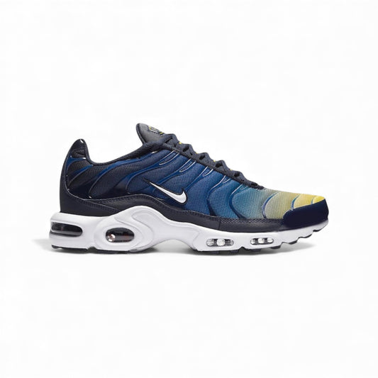 NIKE Air Max Plus Tn Gradient