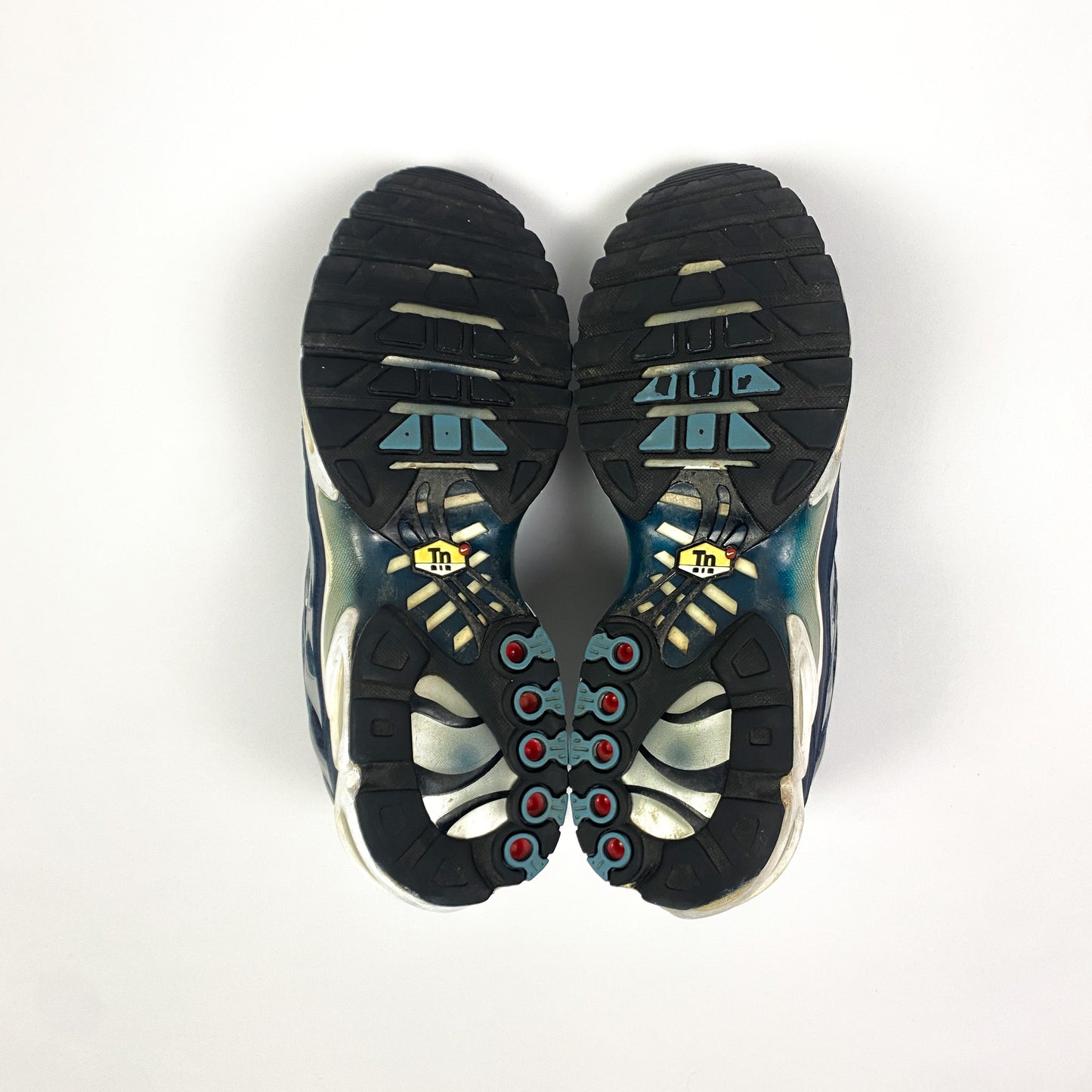 NIKE Air Max Plus Tn "Palm Tree"