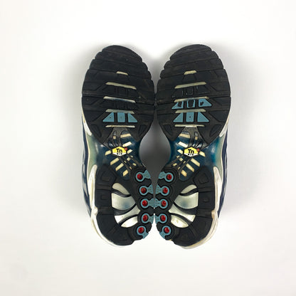 NIKE Air Max Plus Tn "Palm Tree"